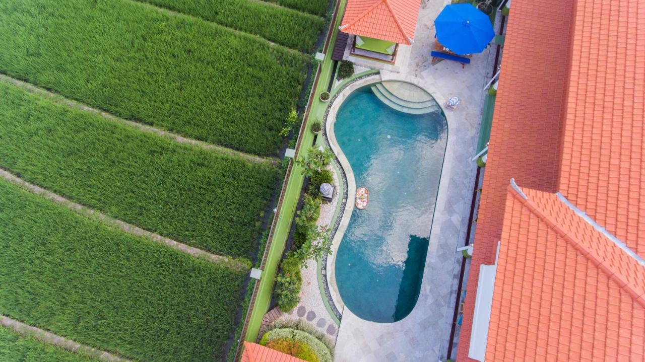 Villa Padi Canggu Екстериор снимка